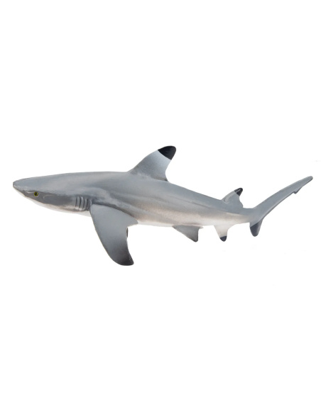 Figurine requin à pointe noire des récifs ToyMany