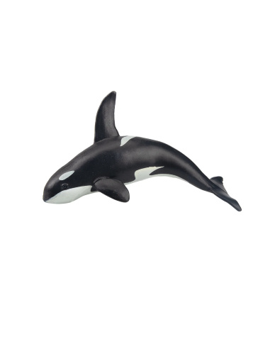 Figurine orque (killer whale) ToyMany (petite)