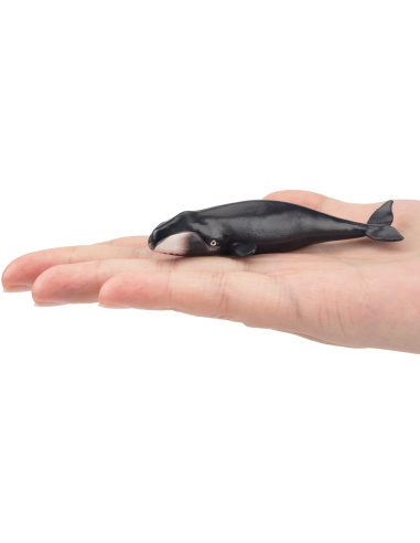 Figurine baleine boréale ToyMany (petite)