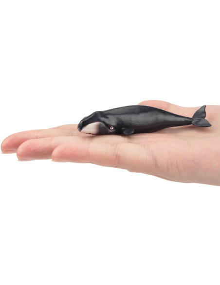 Figurine baleine boréale ToyMany (petite)