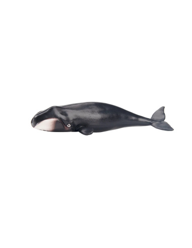Figurine baleine boréale ToyMany (petite)