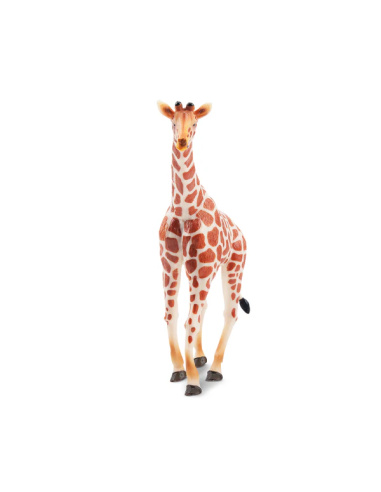 Figurine girafe debout ToyMany