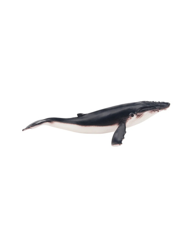 Figurine baleine à bosse ToyMany (petite)