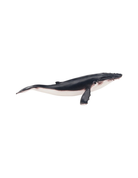 Figurine baleine à bosse ToyMany (petite)