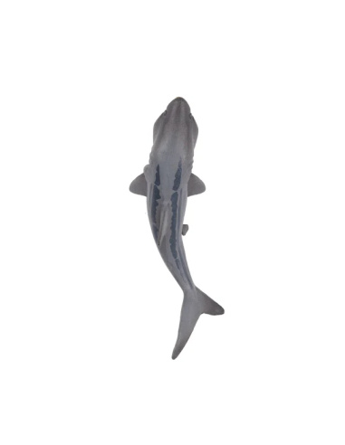 Figurine requin pèlerin ToyMany (petite)