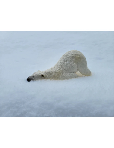 Figurine ours polaire adulte allongé ToyMany