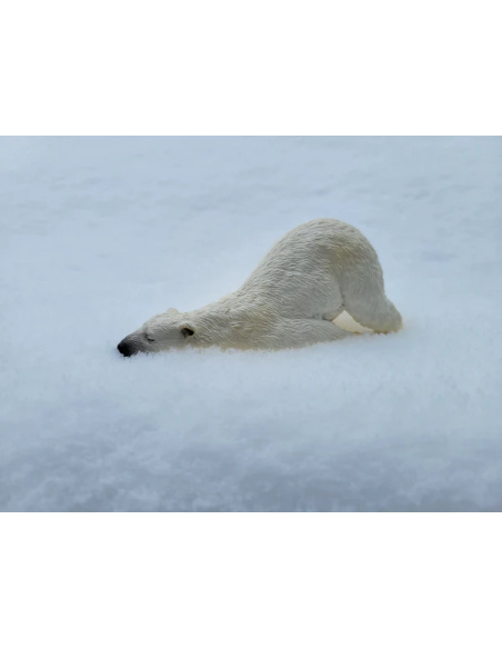 Figurine ours polaire adulte allongé ToyMany