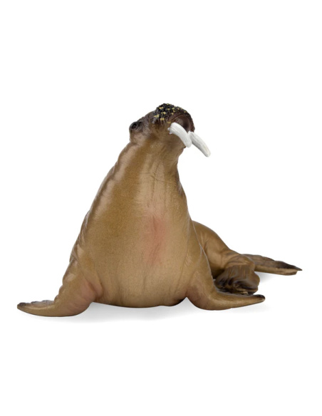 Figurine morse ToyMany