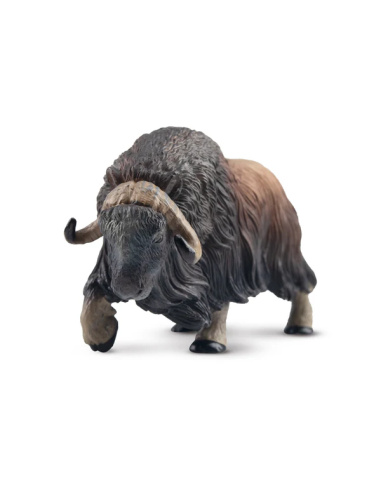 Figurine boeuf musqué ToyMany