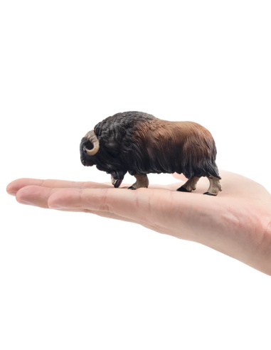 Figurine boeuf musqué ToyMany