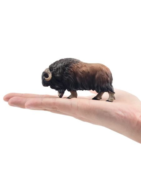 Figurine boeuf musqué ToyMany
