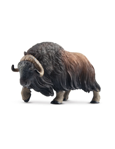 Figurine boeuf musqué ToyMany