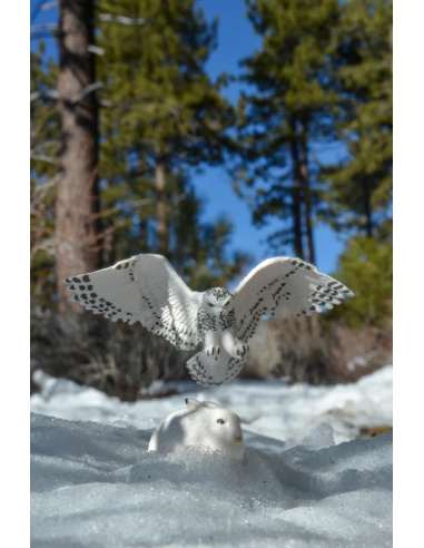 Figurine Harfang des Neiges ToyMany