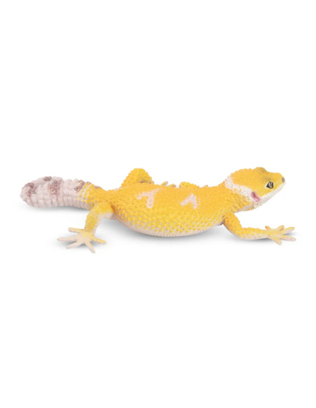 Figurine gecko léopard ToyMany