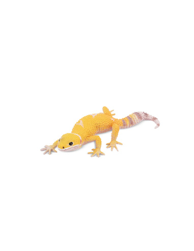 Figurine gecko léopard ToyMany