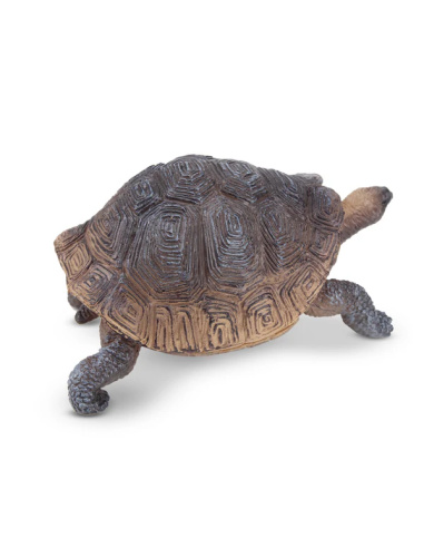 Figurine tortue des Galápagos ToyMany