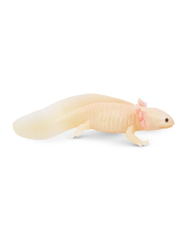 Figurine axolotl ToyMany