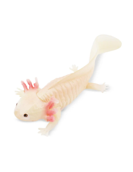 Figurine axolotl ToyMany