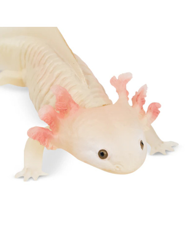 Figurine axolotl ToyMany