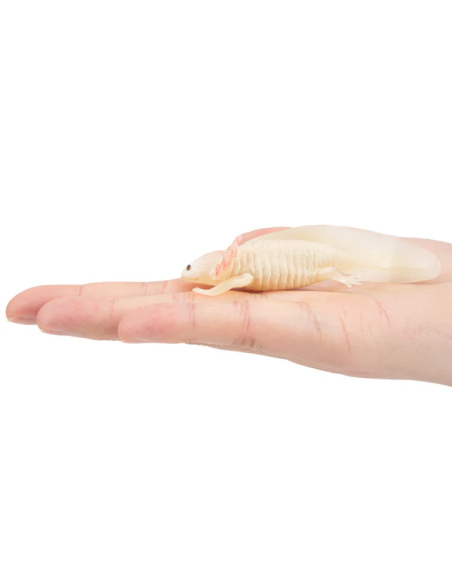 Figurine axolotl ToyMany