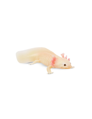 Figurine axolotl ToyMany