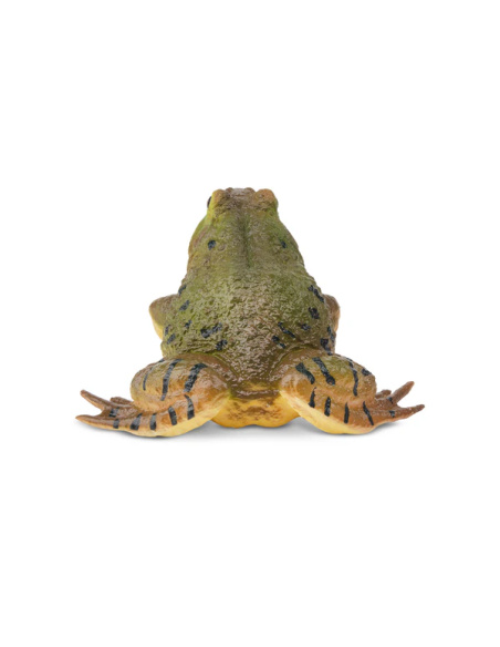 Grenouille taureau d’Amérique – Figurine Toymany