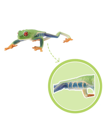 Figurine rainette aux yeux rouges ToyMany