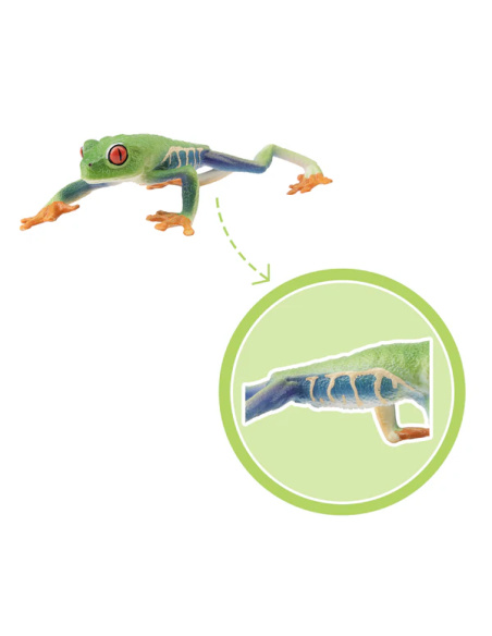 Figurine rainette aux yeux rouges ToyMany