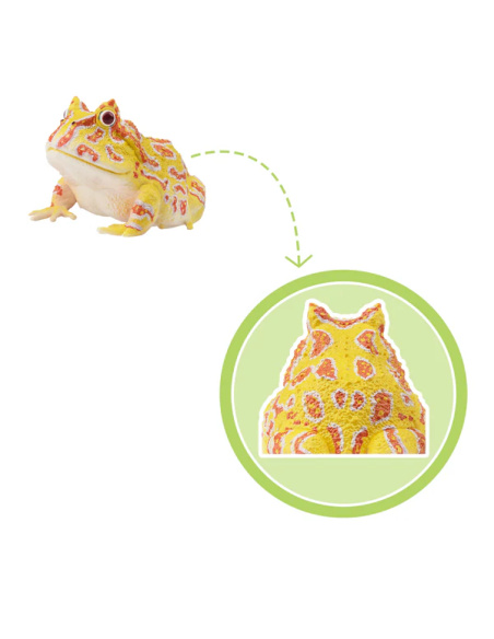 Figurine grenouille cornue d’Argentine ToyMany