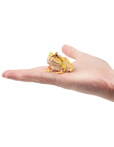Figurine grenouille cornue d’Argentine ToyMany