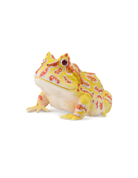 Figurine grenouille cornue d’Argentine ToyMany