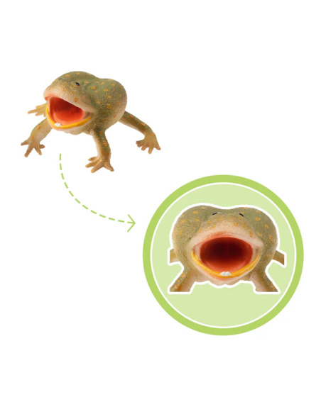 Figurine grenouille de Budgett ToyMany