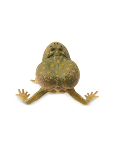 Figurine grenouille de Budgett ToyMany