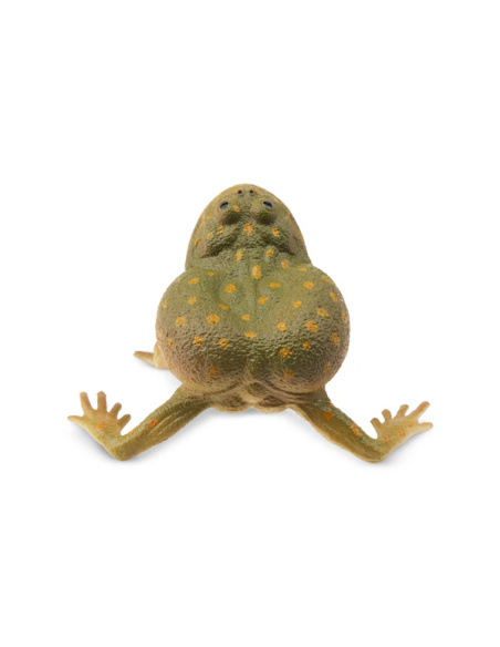 Figurine grenouille de Budgett ToyMany