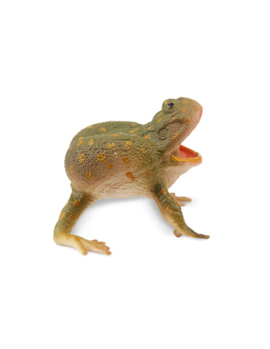 Figurine grenouille de Budgett ToyMany