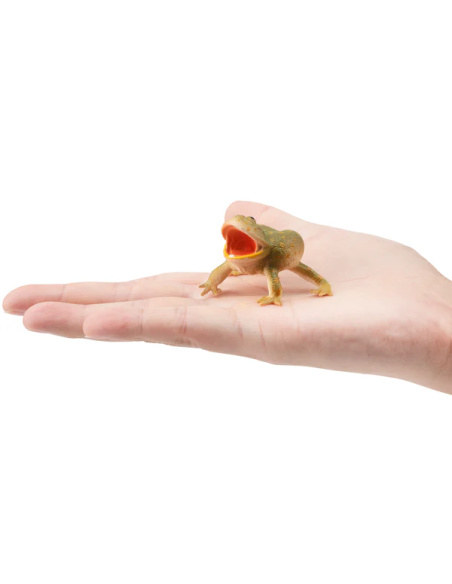 Figurine grenouille de Budgett ToyMany