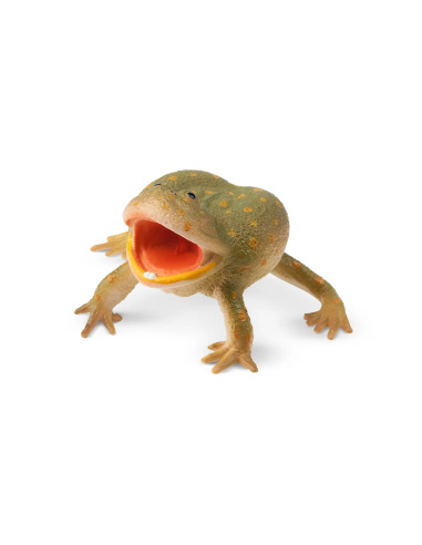 Figurine grenouille de Budgett ToyMany