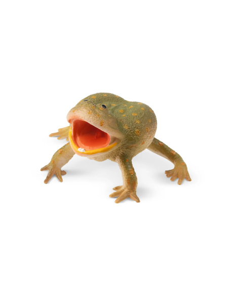 Figurine grenouille de Budgett ToyMany