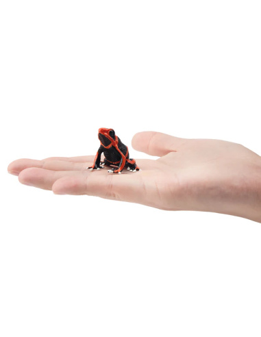 Figurine dendrobate de Lehmann ToyMany