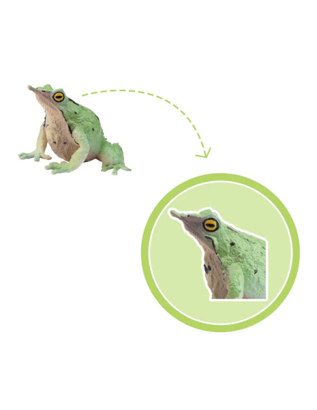 Figurine grenouille de Darwin ToyMany