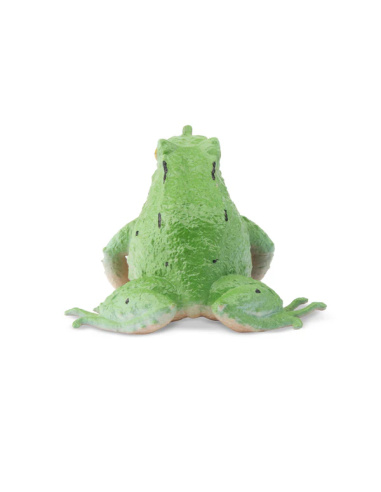 Figurine grenouille de Darwin ToyMany
