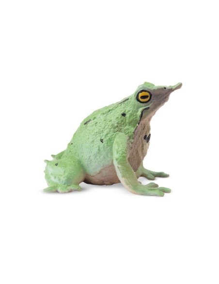 Figurine grenouille de Darwin ToyMany