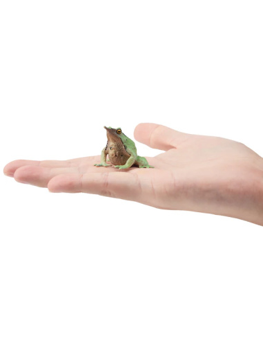 Figurine grenouille de Darwin ToyMany
