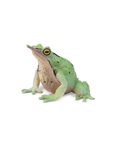 Figurine grenouille de Darwin ToyMany