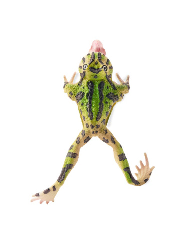 Figurine grenouille cornue du Surinam ToyMany