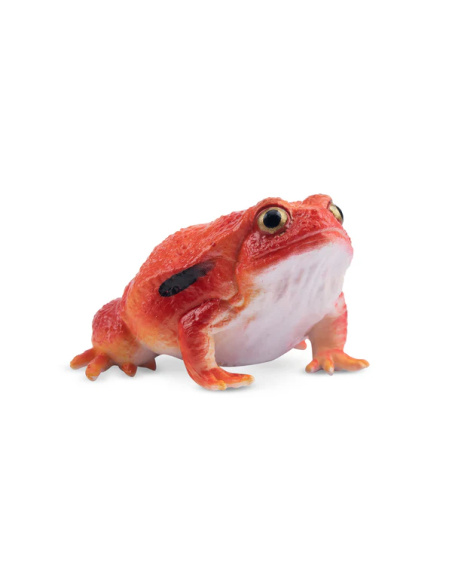 Figurine grenouille tomate ToyMany