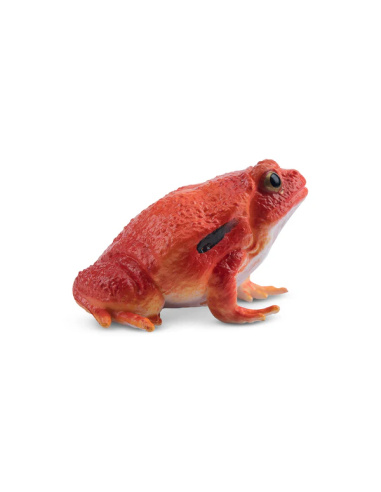 Figurine grenouille tomate ToyMany