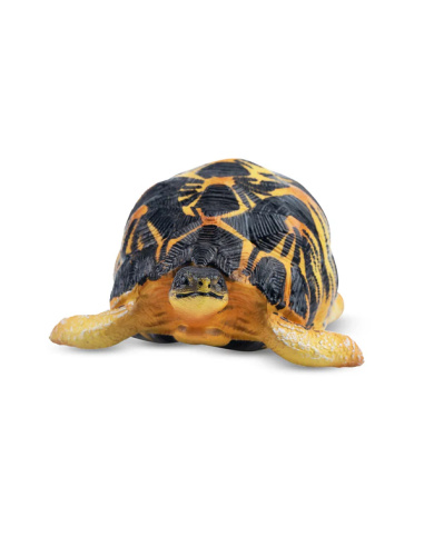 Figurine tortue rayonnée ToyMany