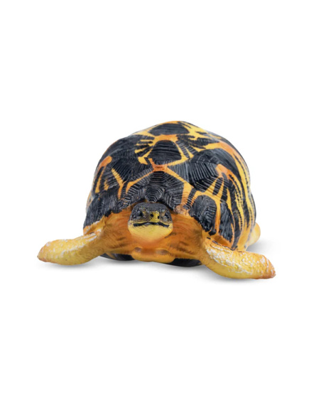 Figurine tortue rayonnée ToyMany