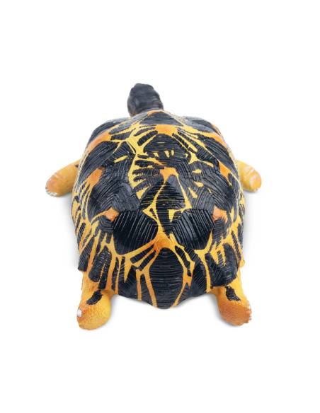 Figurine tortue rayonnée ToyMany